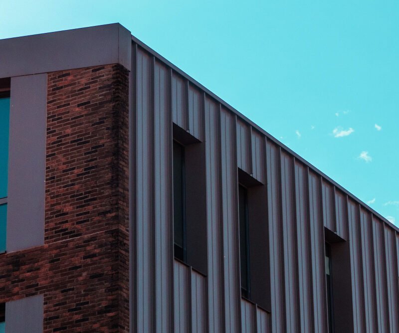 fiberon vs trex
